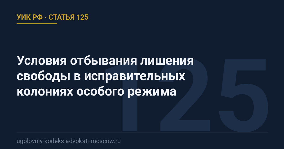 Статья 125 УИК РФ: Условия отбывания лишения свободы в исправительных колониях особого режима