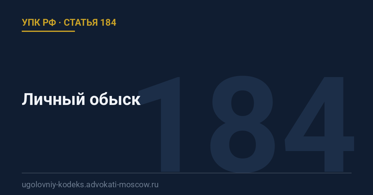 Статья 184 УПК РФ: Личный обыск