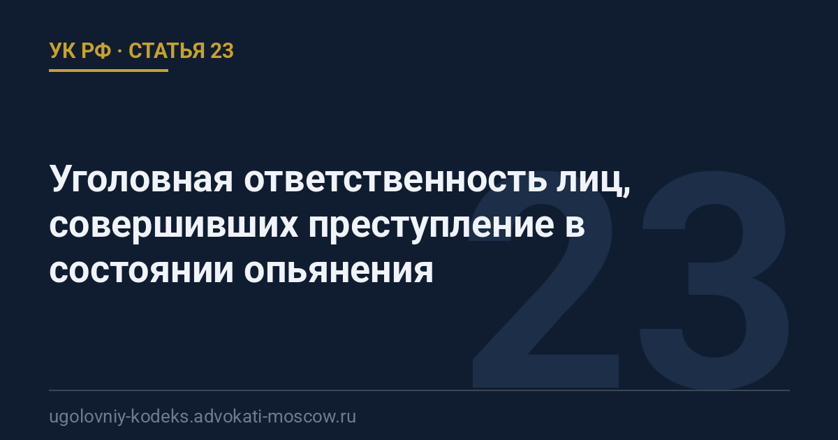 Статья 23 УК РФ: Уголовная ответственность лиц, совершивших преступление в состоянии опьянения