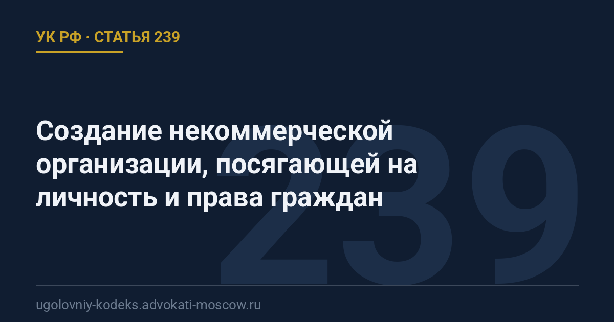 Статья 239 УК РФ: Создание некоммерческой организации, посягающей на личность и права граждан