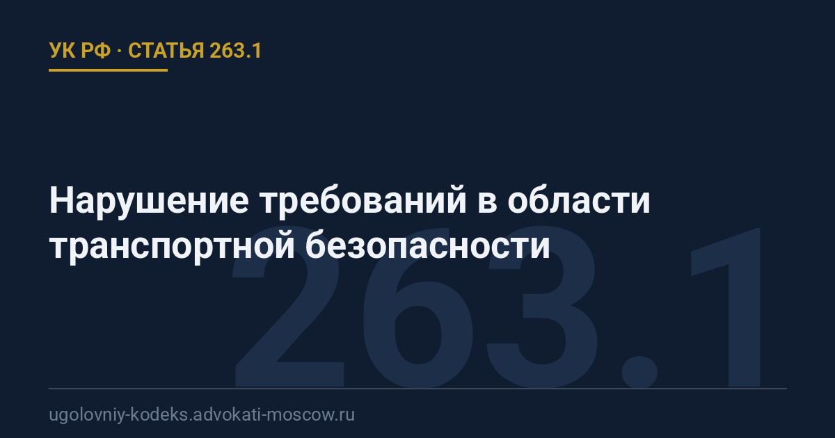 Статья 263.1 УК РФ: Нарушение требований в области транспортной безопасности