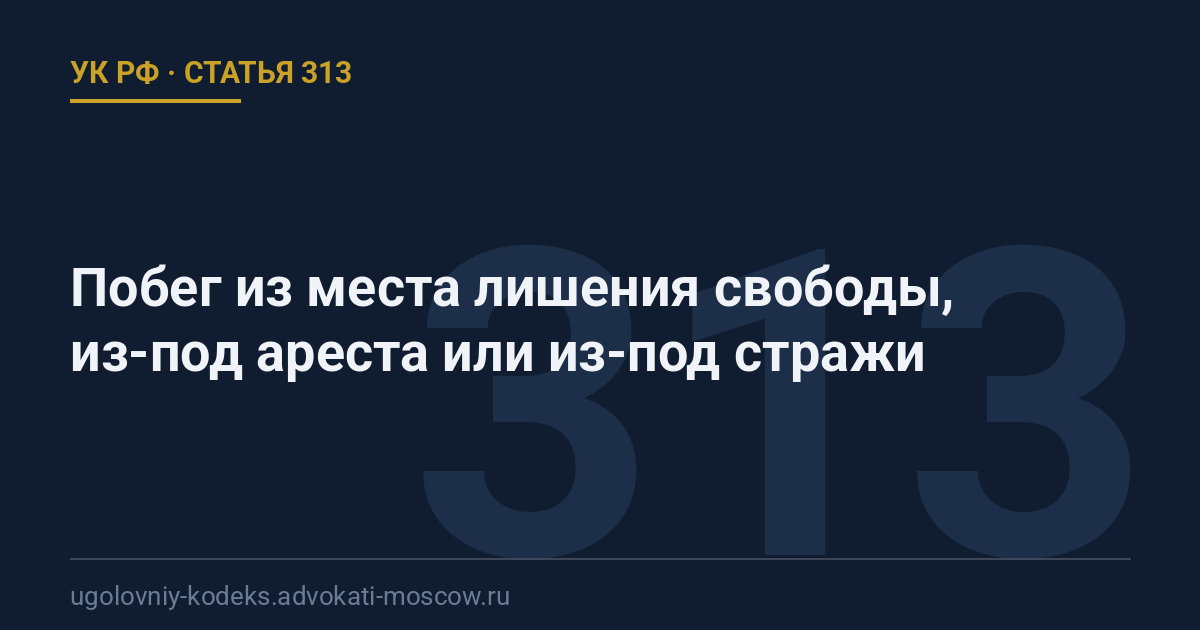 Статья 313 УК РФ: Побег из места лишения свободы, из-под ареста или из-под стражи