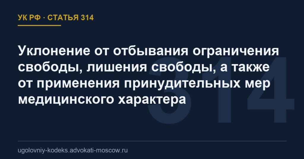 Статья 314 УК РФ: Уклонение от отбывания ограничения свободы, лишения свободы, а также от применения принудительных мер медицинского характера