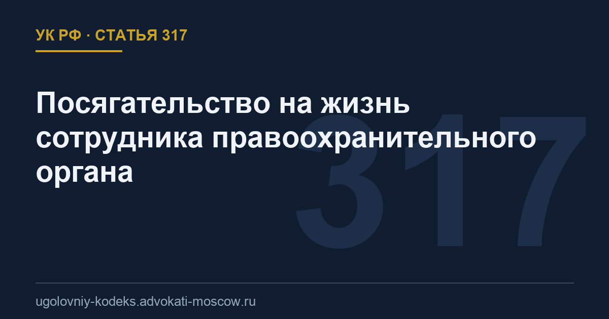 Статья 317 УК РФ: Посягательство на жизнь сотрудника правоохранительного органа