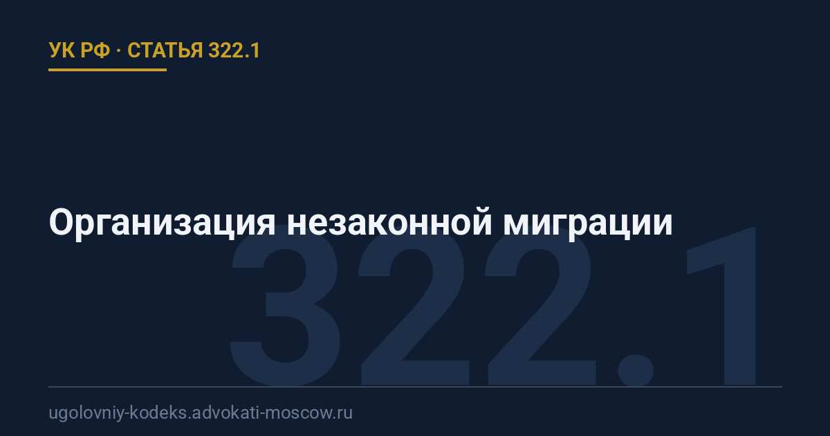 Статья 322.1 УК РФ: Организация незаконной миграции