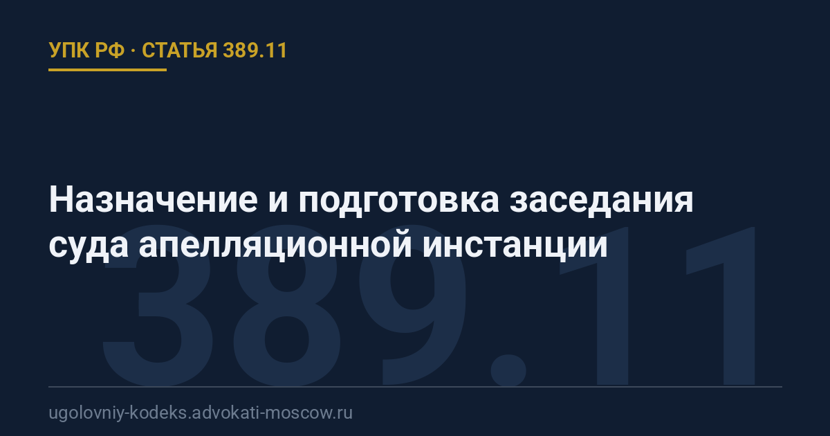 Статья 389.11 УПК РФ: Назначение и подготовка заседания суда апелляционной инстанции