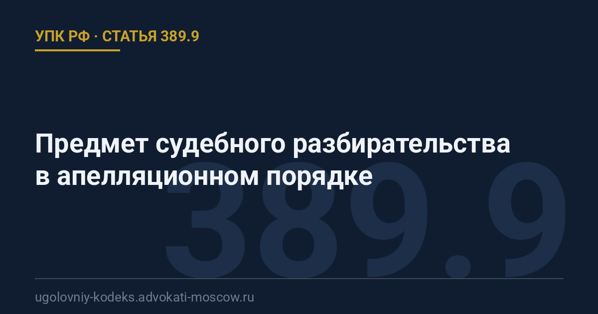 Статья 389.9 УПК РФ: Предмет судебного разбирательства в апелляционном порядке